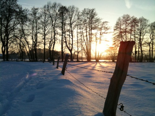 Sonnenuntergang im Schnee