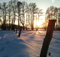 Sonnenuntergang im Schnee