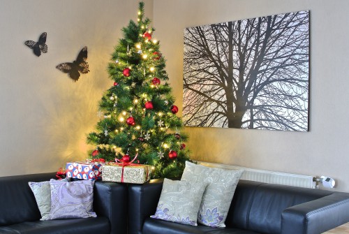 Weihnachtsbaum fotografieren